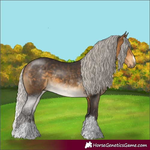 Horse Color:Silver Buckskin