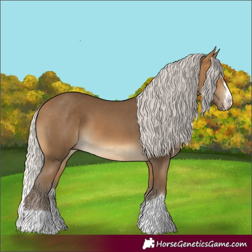 Horse Color:Silver Buckskin