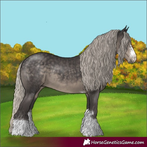 Horse Color:Silver Smoky Black
