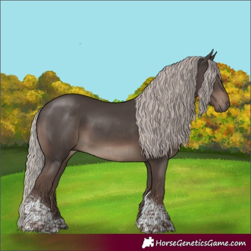 Horse Color:Silver Black Tobiano 