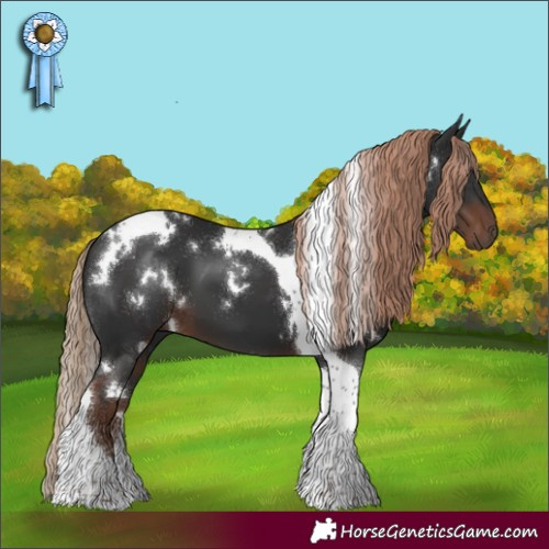 Horse Color:White Spotted Liver Chestnut Tobiano 