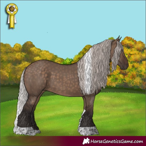 Horse Color:Silver Brown Dun Tobiano 