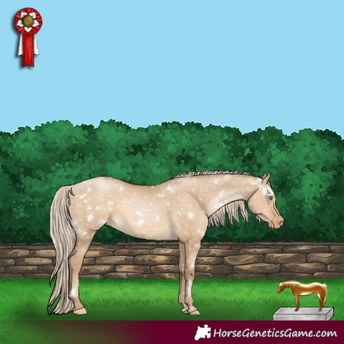 Horse Color:White Spotted Chocolate Palomino Pearl Dun Appaloosa