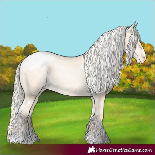 Horse Color:White Spotted Gold Cream Champagne Pearl Dun Appaloosa