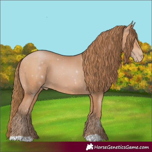 Horse Color:Bay Pearl