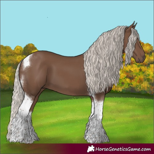 Horse Color:Silver Black Tobiano 