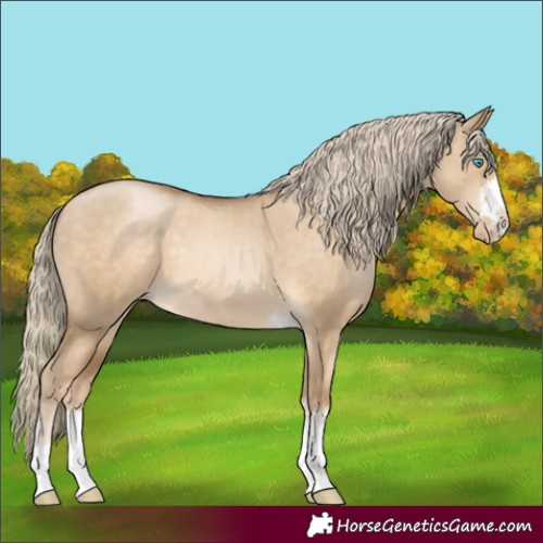 Horse Color:Chocolate Palomino Pearl Dun