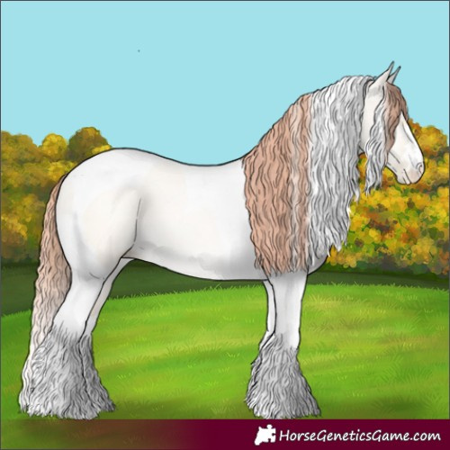 Horse Color:Amber Cream Champagne Pearl Dun Tobiano