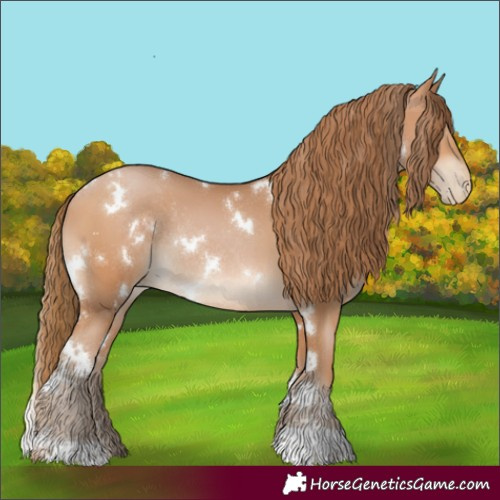 Horse Color:White Spotted Brown Pearl Rabicano