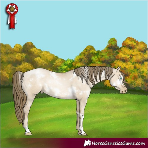 Horse Color:White Spotted Smoky Grullo Pearl Rabicano 