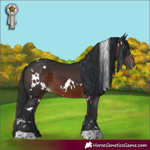 Horse Color:White Spotted Brown 