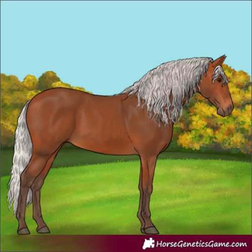 Horse Color:Silver Bay