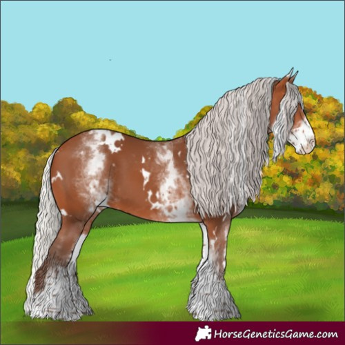 Horse Color:White Spotted Silver Bay 