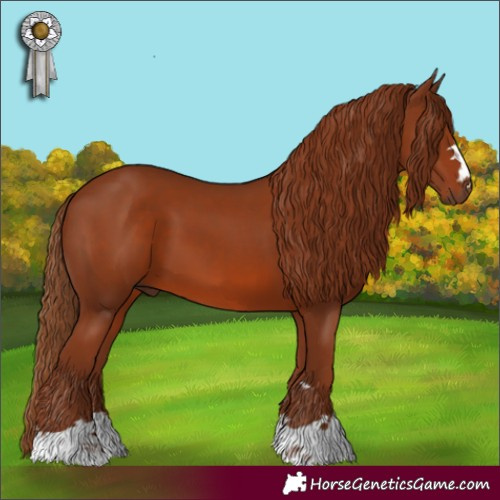 Horse Color:Chestnut 