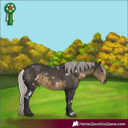 Horse Color:White Spotted Silver Smoky Black