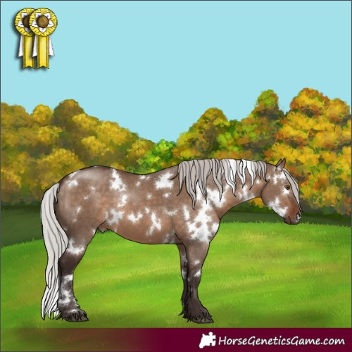 Horse Color:White Spotted Silver Brown Dun