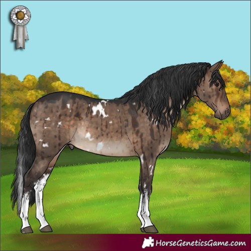 Horse Color:White Spotted Brown Dun Rabicano Brindle