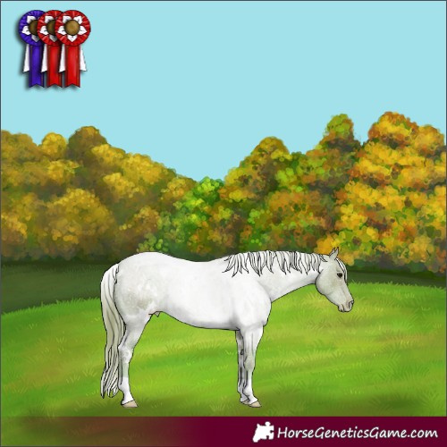 Horse Color:Watercolor White Spotted Black Pearl