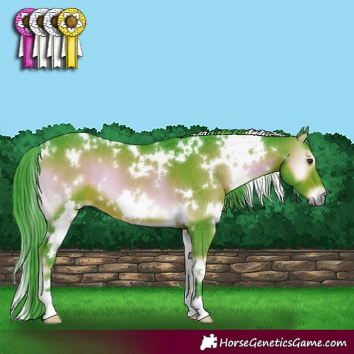 Horse Color:Watercolor White Spotted Liver Red Onyx 