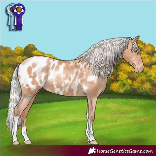 Horse Color:Silver Sable Champagne Tobiano Blanket Rabicano 