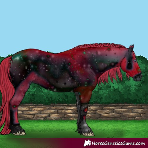 Horse Color:ERROR: UNKNOWN ANOMALY