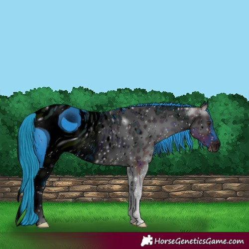 Horse Color:ERROR: UNKNOWN ANOMALY