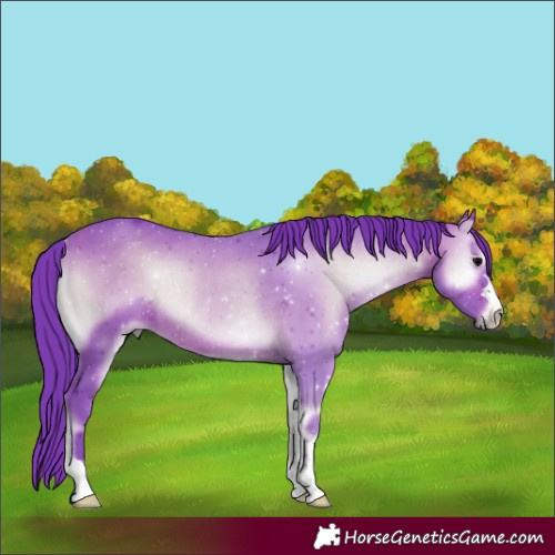 Horse Color:Watercolor Bay Onyx Rabicano 