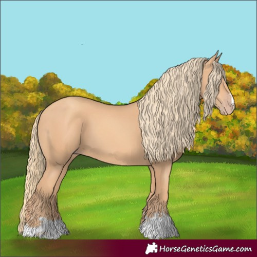 Horse Color:Gold Champagne 