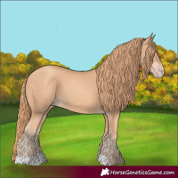 Horse Color:Gold Champagne 