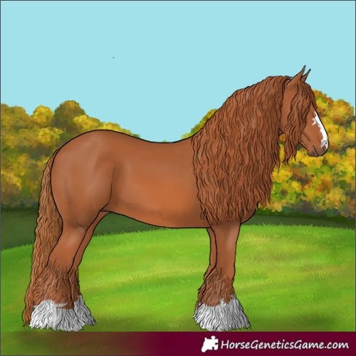 Horse Color:Chestnut 