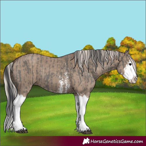 Horse Color:Grullo Sabino Splash and Silver Grullo Sabino Splash
