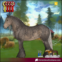 Horse Color:Silver Smoky Black
