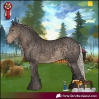 Horse Color:Silver Smoky Black 