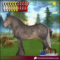 Horse Color:Silver Smoky Black