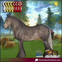 Horse Color:Silver Smoky Black 