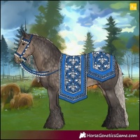 Horse Color:Silver Smoky Black