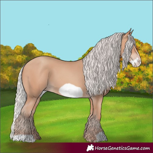 Horse Color:Silver Amber Champagne Frame