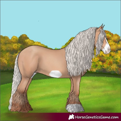 Horse Color:Silver Amber Champagne Frame 