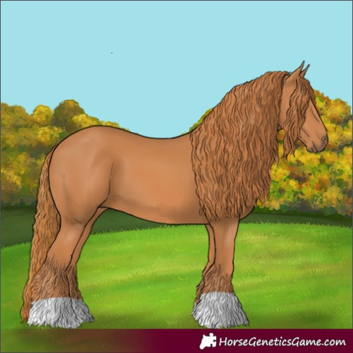 Horse Color:Chestnut 