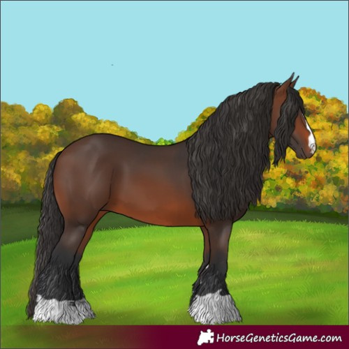 Horse Color:Brown 