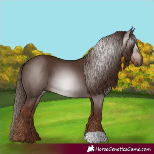 Horse Color:Gray Chestnut