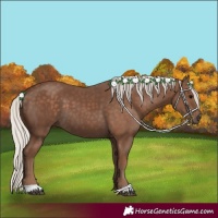 Horse Color:Silver Black 