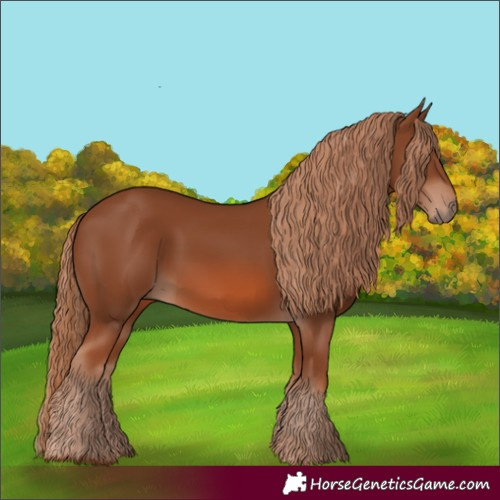Horse Color:Chestnut 