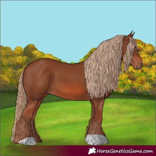 Horse Color:Chestnut 