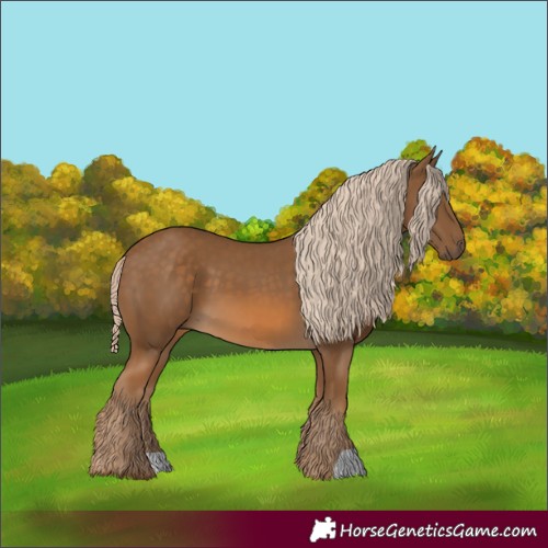 Horse Color:Chocolate Palomino 