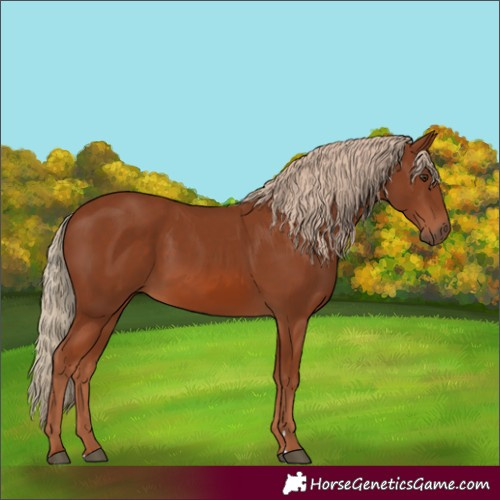 Horse Color:Chestnut 