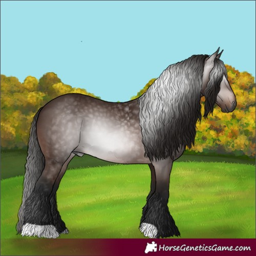 Horse Color:Gray Bay 