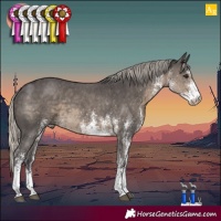 Horse Color:White Spotted Silver Smoky Black
