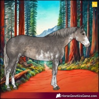 Horse Color:White Spotted Silver Smoky Black