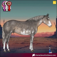 Horse Color:White Spotted Silver Smoky Black 